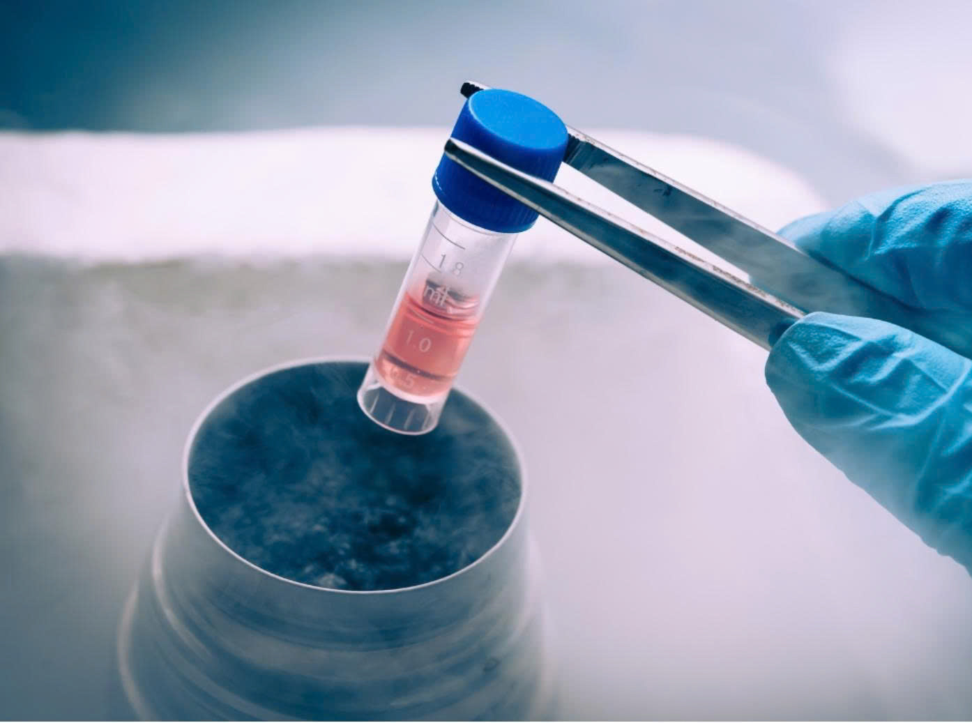 Ghép tế bào gốc là gì?