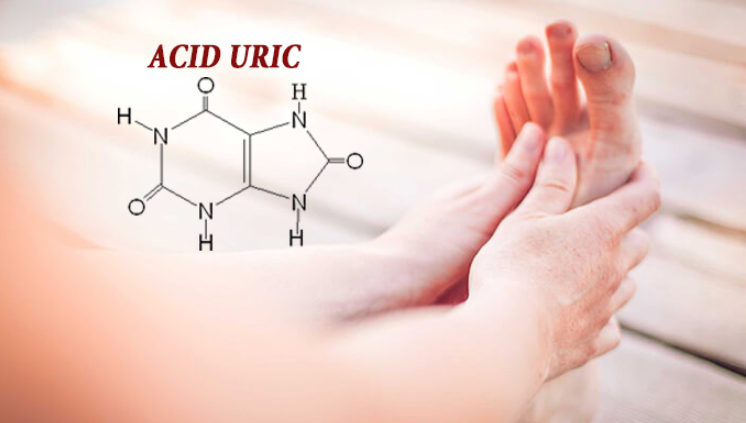 Acid uric là gì?