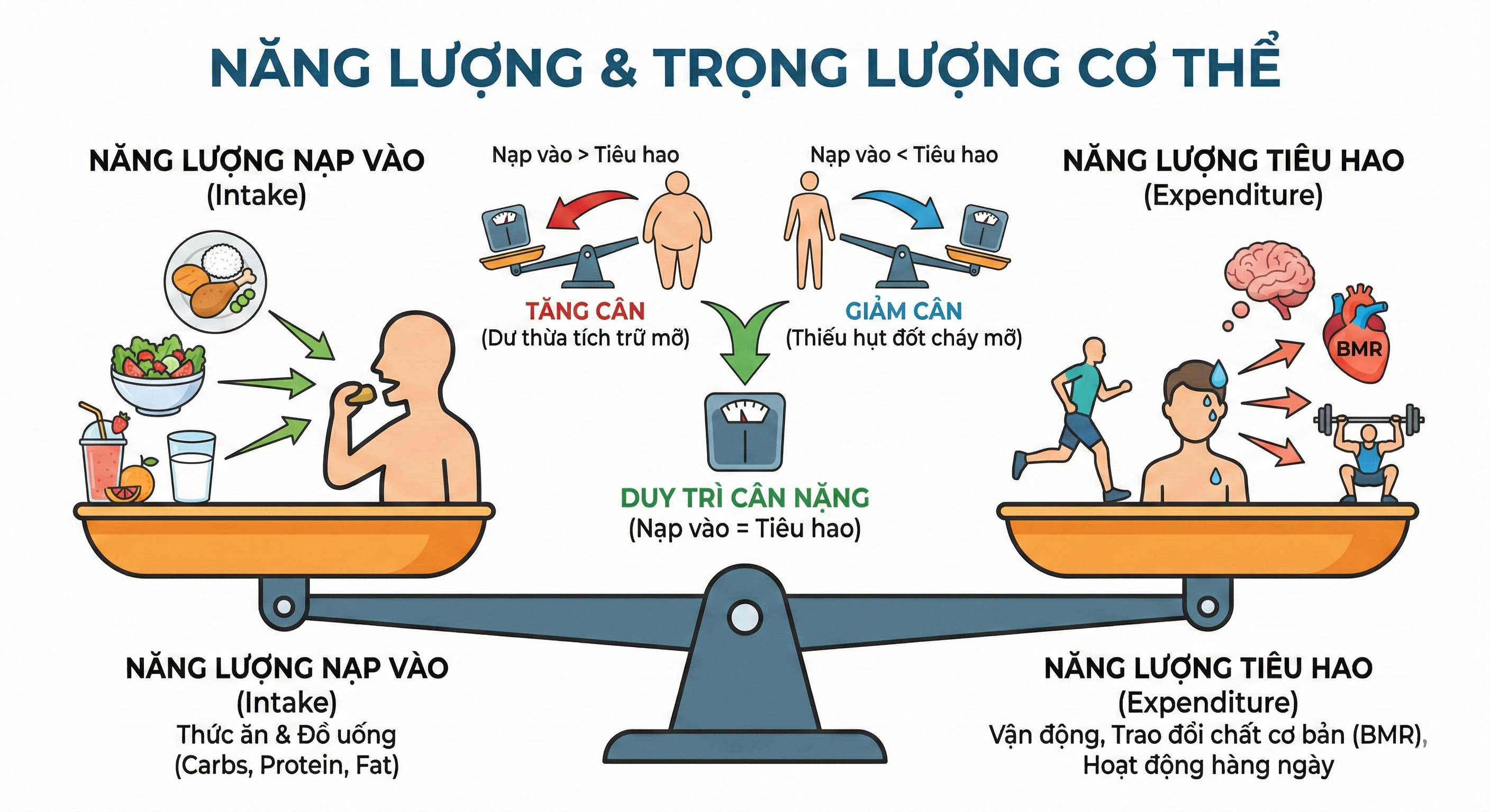 Năng lượng là gì và tác động của nó lên trọng lượng cơ thể?